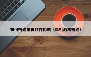 泰兴如何搭建单机软件网站（单机游戏搭建）