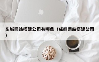 泰兴东城网站搭建公司有哪些（成都网站搭建公司）